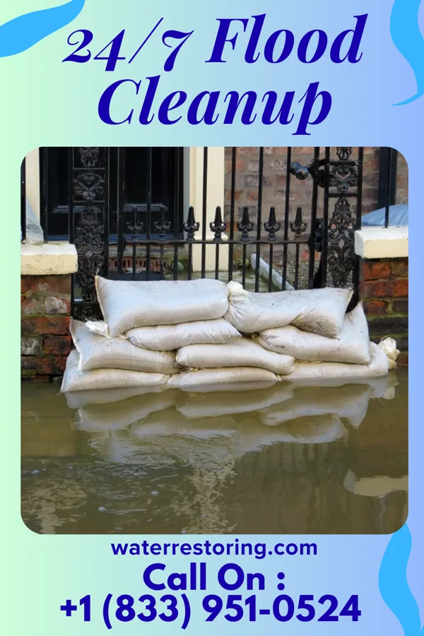 24/7 Flood Cleanup in Chester, IA