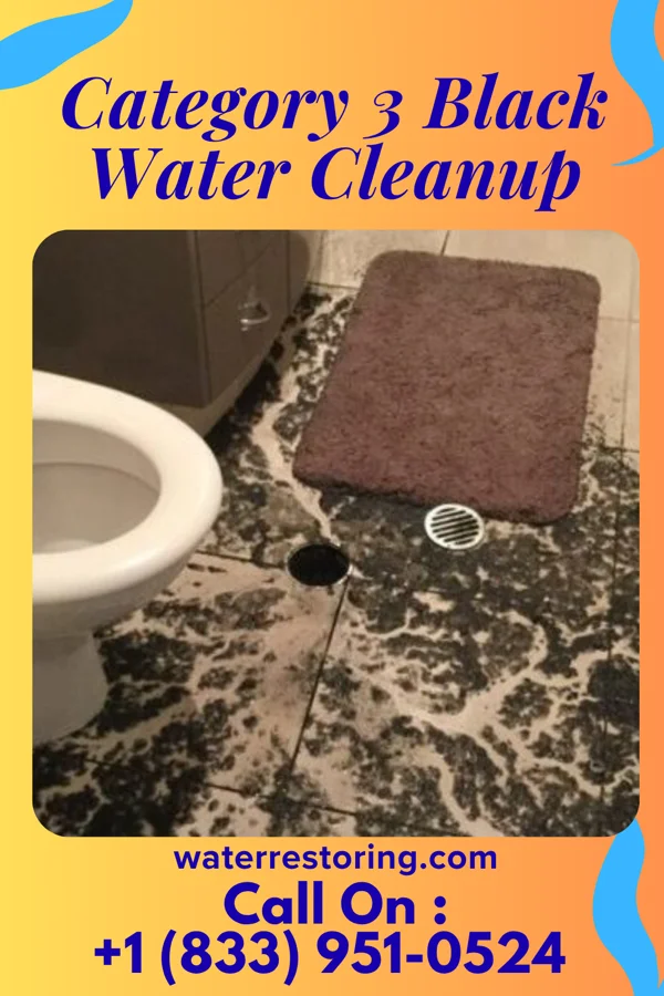 Category 3 Black Water Cleanup in Chester, IA