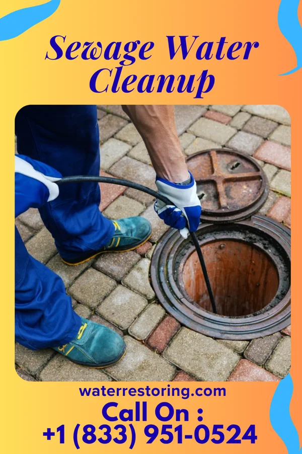 Sewage Water Cleanup in Chester, IA