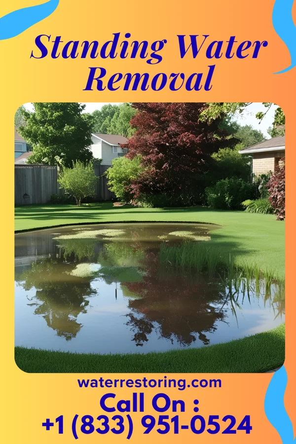 Standing Water Removal in Chester, IA